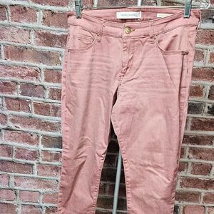 Women's VINTAGE‎ X AMERICA Wonderland Skinny Ankle Jeans  8/29